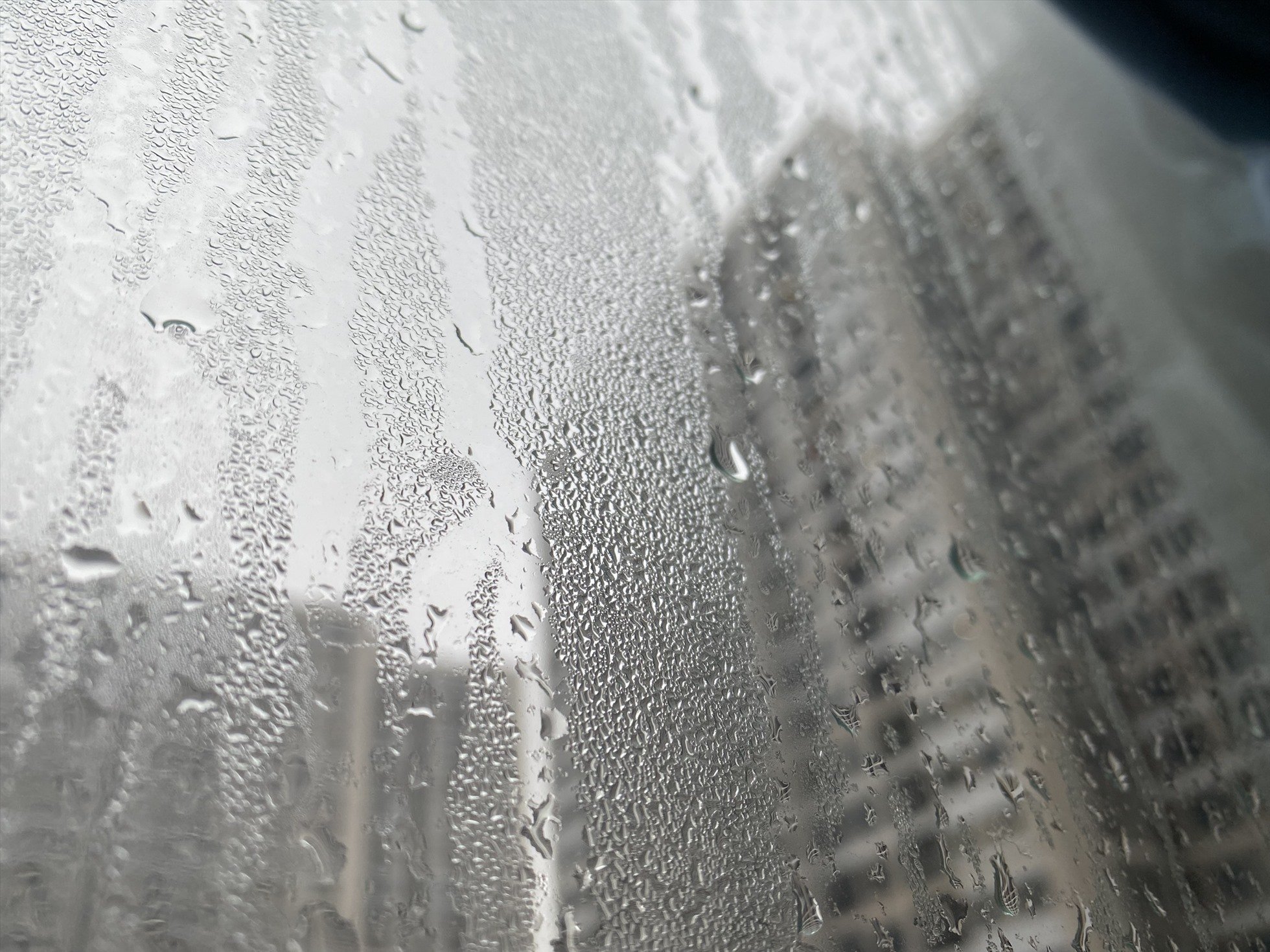 Nồm là gì? Nồm ẩm miền Bắc kéo dài bao lâu?